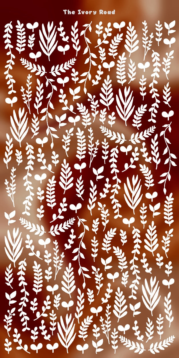 Squash