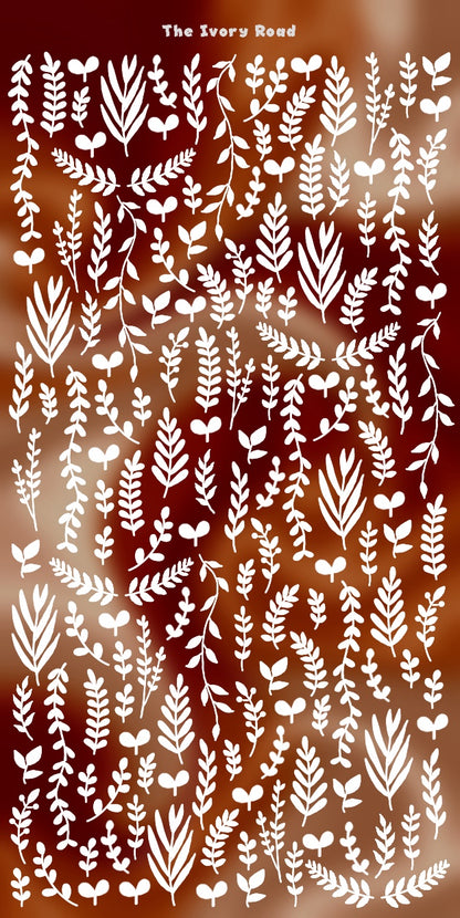 Squash